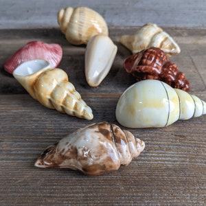 Coastal Home Decor Vintage Sea Shell Decoration Beach House Ocean Theme Ceramic Table Decor image 3