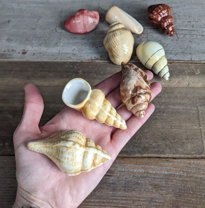 set of eight small ceramic sea shells with neutral colors and a variety of styles.
