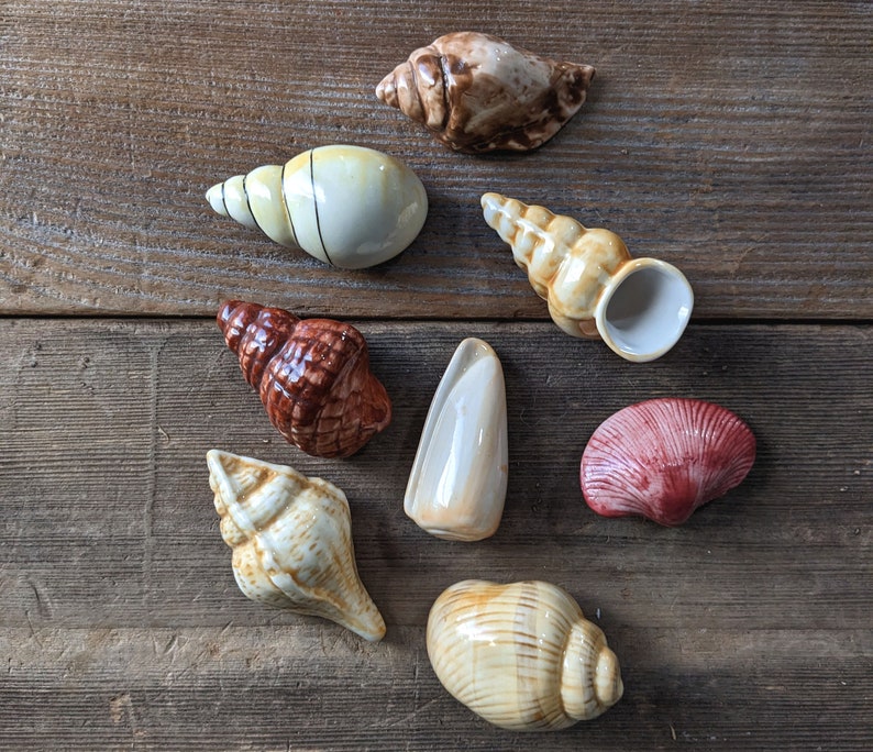 set of eight small ceramic sea shells with neutral colors and a variety of styles.