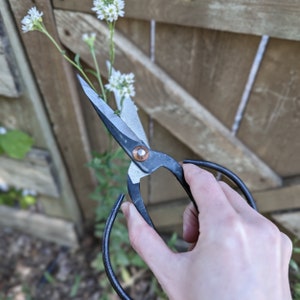 forged iron garden shears with extra large, black iron curved handles.  extra space for comfort when wearing gloves.  extra sharp point.