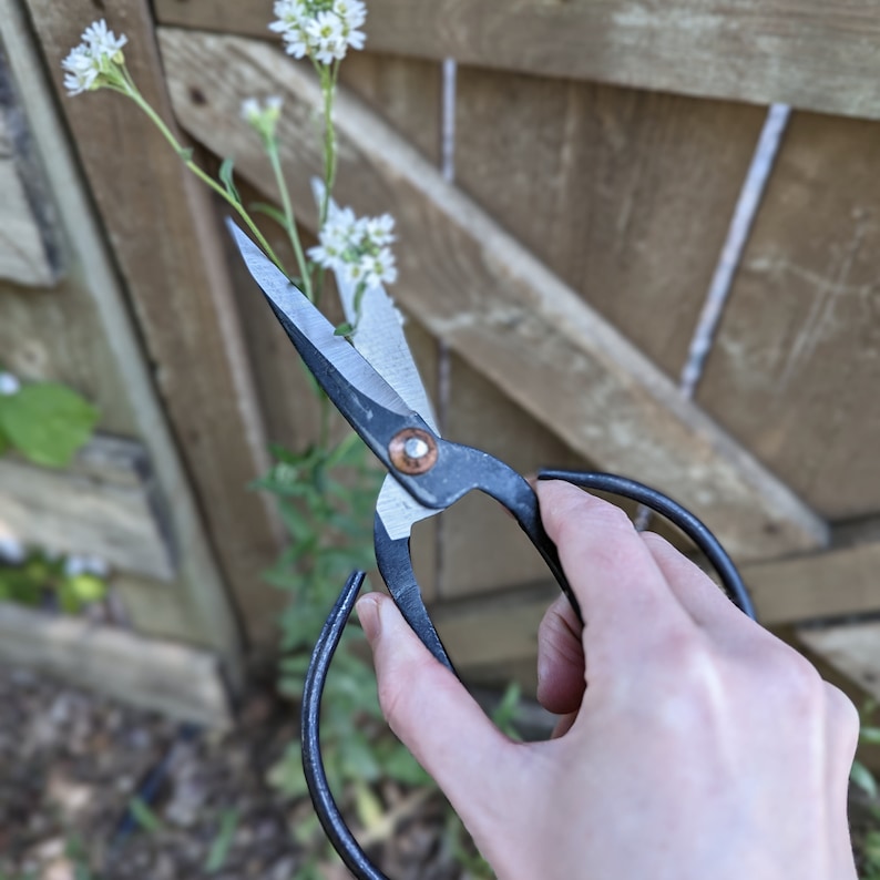 forged iron garden shears with extra large, black iron curved handles.  extra space for comfort when wearing gloves.  extra sharp point.