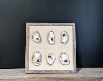 Framed Real Oyster Shell 3D Wall Art Coastal Shell Home Decor Beach House Style Vintage Boho Wall Hanging Unique Gifts