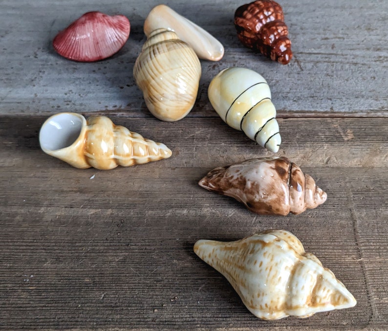 Coastal Home Decor Vintage Sea Shell Decoration Beach House Ocean Theme Ceramic Table Decor image 4