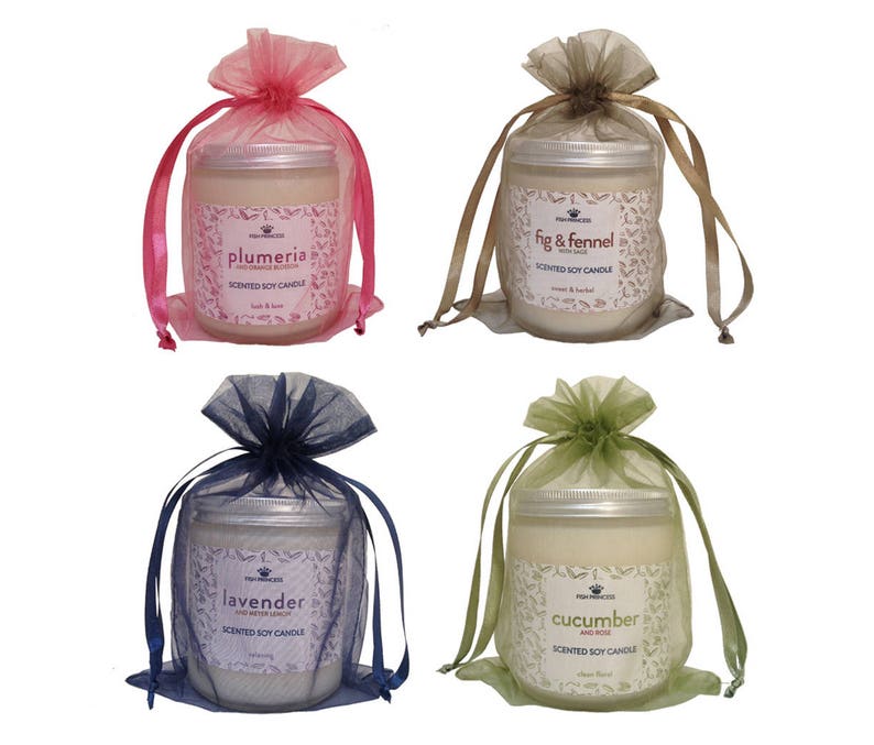 Scented Soy Candles Essential Oils 10oz Choose From Plumeria Etsy