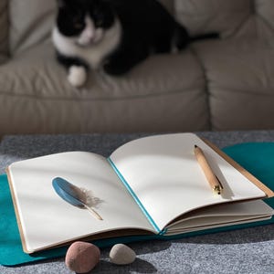 May include: An open notebook with blank white pages, a blue feather, and a wooden pen. Two small stones are in the foreground. A black and white cat is blurred in the background, resting on a light-colored sofa.