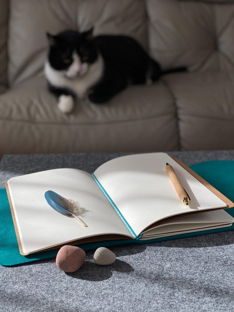 May include: An open notebook with blank white pages, a blue feather, and a wooden pen. Two small stones are in the foreground. A black and white cat is blurred in the background, resting on a light-colored sofa.