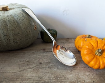 Large Serving Spoon, Jumbo Dessert Spoon, Silver Plated Trifle Spoon, Shiny Vegetable Serving Spoon,Vintage Easter Table Centrepiece Cutlery