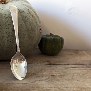 Vintage Croydon Teaspoon, Mid Century Silver Plated Cake Spoon, Collectible Tea Spoon, Croydon Generation Plate A1, Cute Dessert Spoon Gift