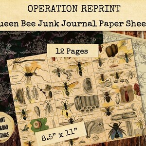 Queen Bee Vintage Victorian Junk Journal Paper, Beekeeper, Apiary, Bumble JPEG and PDF Digital Download Printable