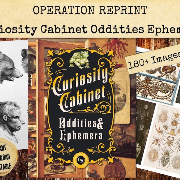 Curiosity Cabinet Oddities & Ephemera 180 Images Nature and Unnatural Junk Journal Collage Scrapbooking Printable Digital Download PDF Jpeg