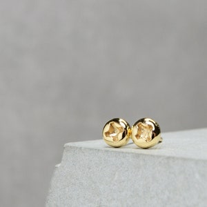 Phillips Screw Earrings 14K Solid Gold Mens Stud Earrings Mens Gold Jewelry Gift For Him Dad