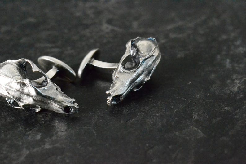May include: A pair of silver cufflinks shaped like animal skulls. The cufflinks are detailed and realistic, with visible teeth and eye sockets.