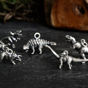 Może przedstawiać: Zestaw sześciu srebrnych zawieszek z dinozaurami, w tym triceratops, stegozaur, ankylozaur, tyrannosaurus rex i dwa inne dinozaury. Zawieszki znajdują się na ciemnoszarej powierzchni.