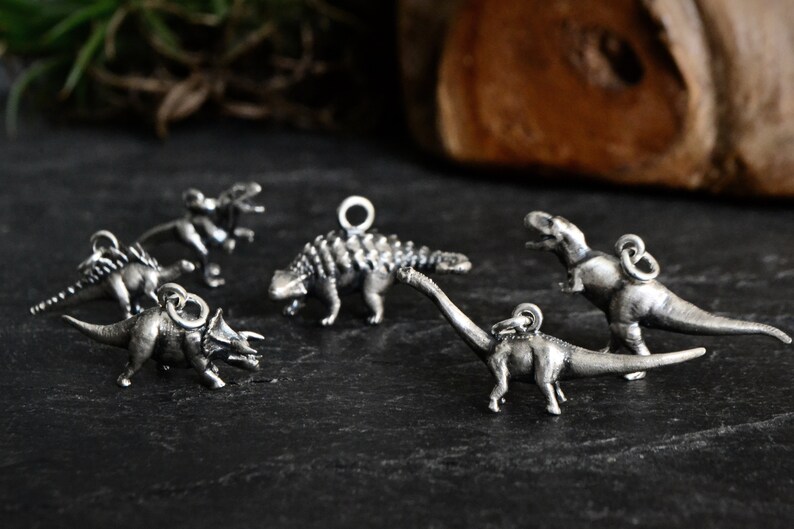 Może przedstawiać: Zestaw sześciu srebrnych zawieszek z dinozaurami, w tym triceratops, stegozaur, ankylozaur, tyrannosaurus rex i dwa inne dinozaury. Zawieszki znajdują się na ciemnoszarej powierzchni.