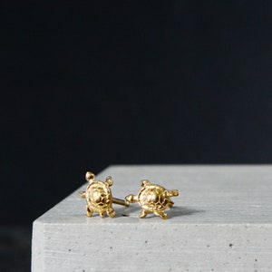 May include: A pair of gold turtle stud earrings. The earrings are small and delicate, and they feature a realistic turtle design.