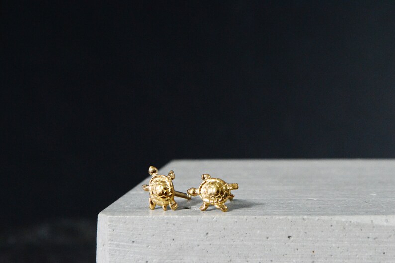 May include: A pair of gold turtle stud earrings. The earrings are small and delicate, and they feature a realistic turtle design.