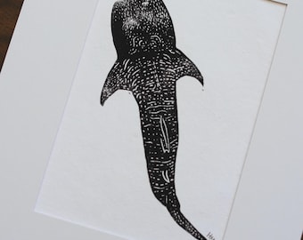 Blok rekina wielorybiego, 5x7