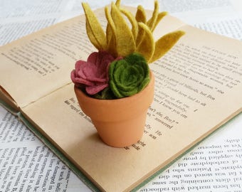 Tiny Felt Succulents in a Clay Pot - Teacher Gift - Hostess Gift - Mother's Day Gift - Succulent Ornament - With or Without Hanger