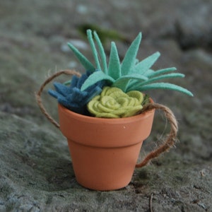 May include: A small terracotta pot with a green, blue, and yellow felt succulent plant. The pot has a brown twine handle.