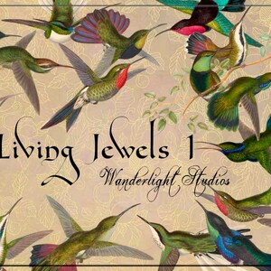 Digital Collage Elements, Hummingbirds