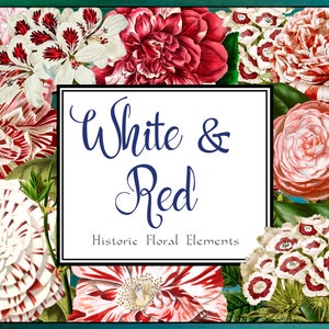 Digital Design Elements: White & Flowers
