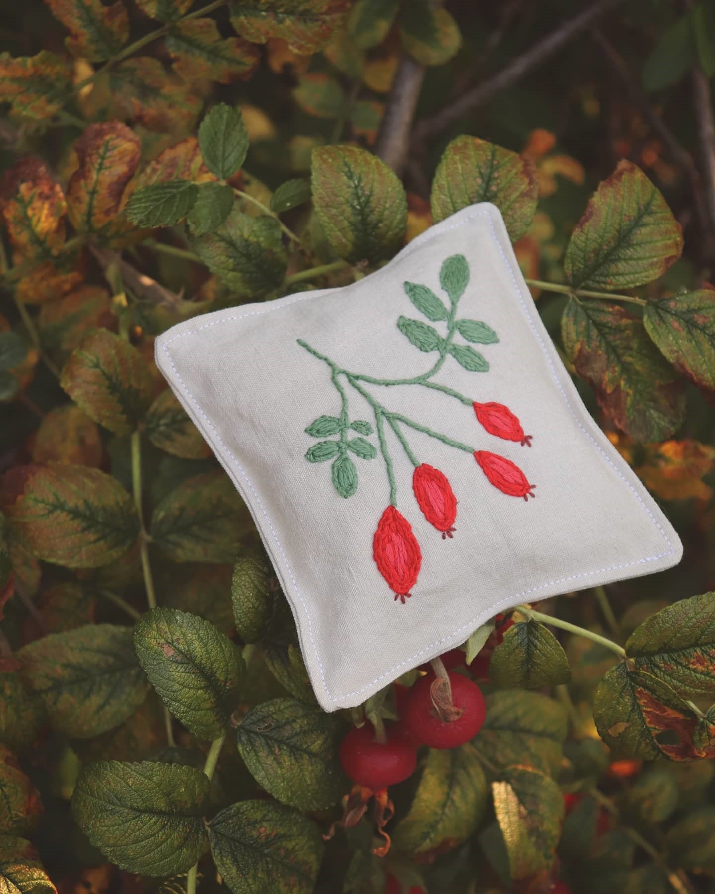 Coussin Aromatique Brodé de Cynorhodons