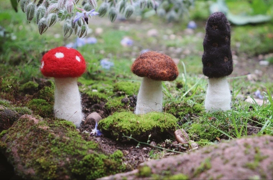 Lot de 3 Champignons en Laine Feutrée