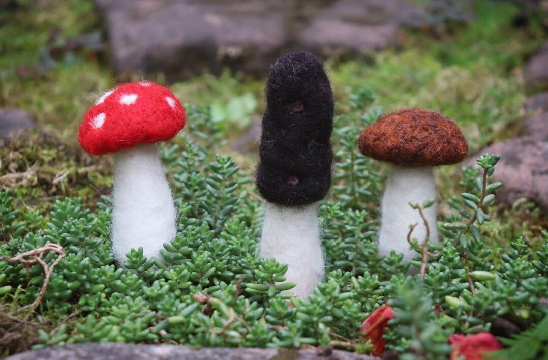 Lot de 3 Champignons en Laine Feutrée