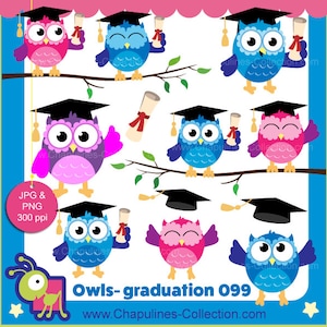 Graduation Owls clipart, colorful owls images, school clipart, graduation clip art set 099