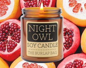 Night Owl - smells like pomegranate, orange, vanilla, cinnamon - Soy Candle, Sleep Candle, Relaxing Candle, Funny Candle (9oz)