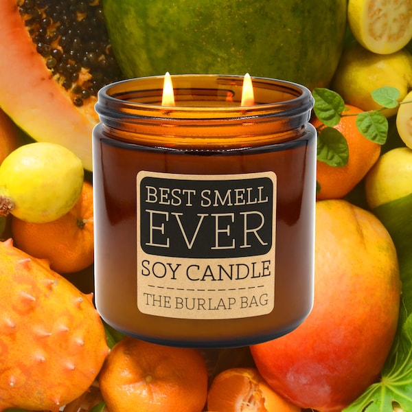 Best Smell Ever - smells like tropical citrus fruits such as satsuma, guava, papaya - Large Soy Candle 16oz, Citrus Candle (16oz)