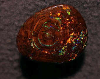 Opalized Wood Boulder Opal Fossil. Incredibly Rare Opal.  Bright Rainbow color Growth Rings 7.0 Carat 19 x 17 x 3mm Double sided Gem