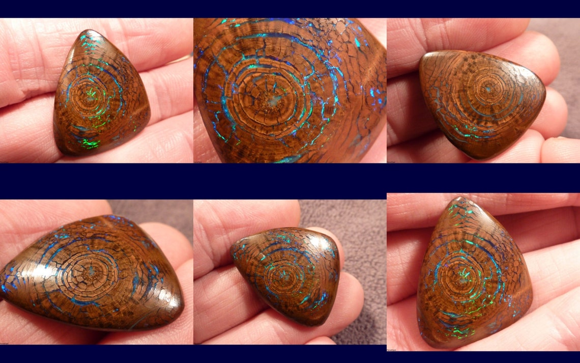 Opalized Wood Boulder Opal Fossil. Incredibly Rare Bright Etsy