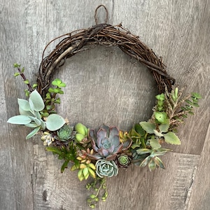 10&quot; succulent wreath-living wreath-grapevine wreath-door wreath-colorful wreath-house warming gift- desert wreath-front door wreath