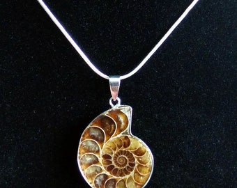 Fossil Ammonite Pendant 40x30mm 1pc #ID-1654 Fossil Ammonite Pendant 40x30mm 1pc #ID-1654
