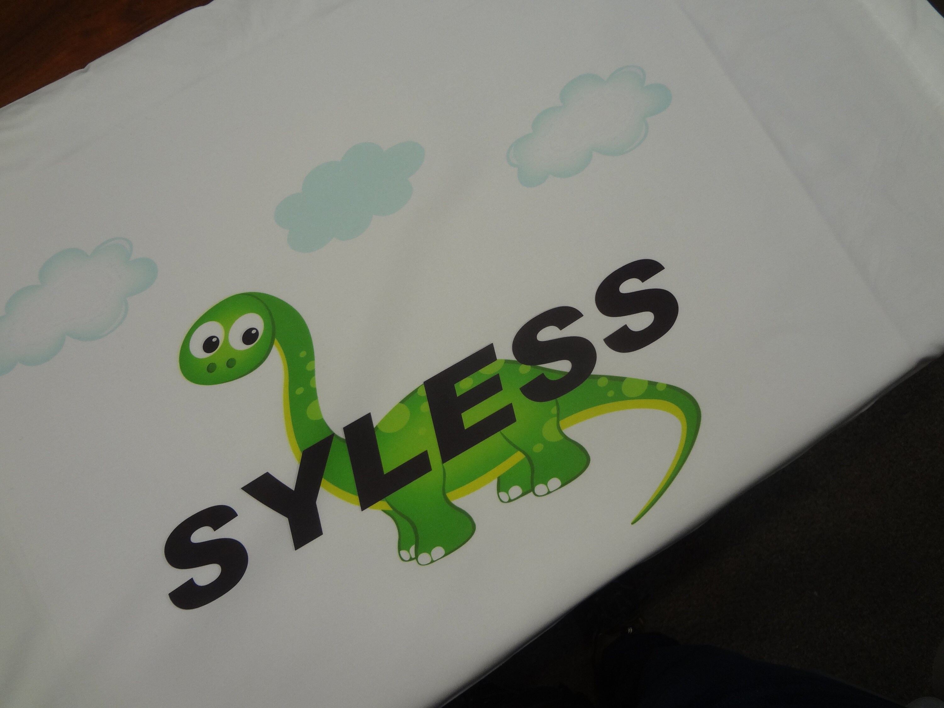 Dinosaur Pillowcase Standard 20 x 30 Little Boys Girls Pillow Etsy