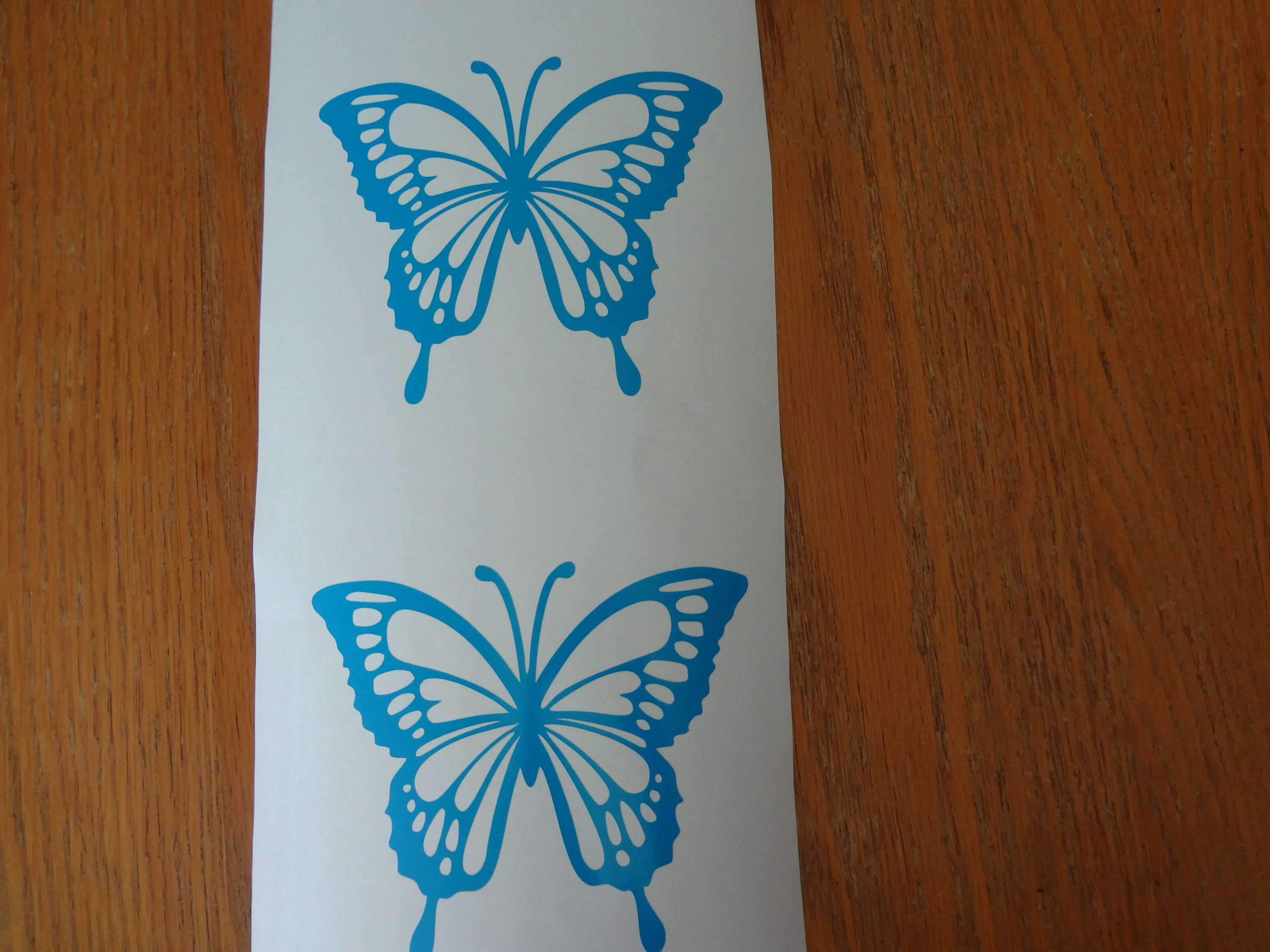 Butterfly Sticker – C7skates