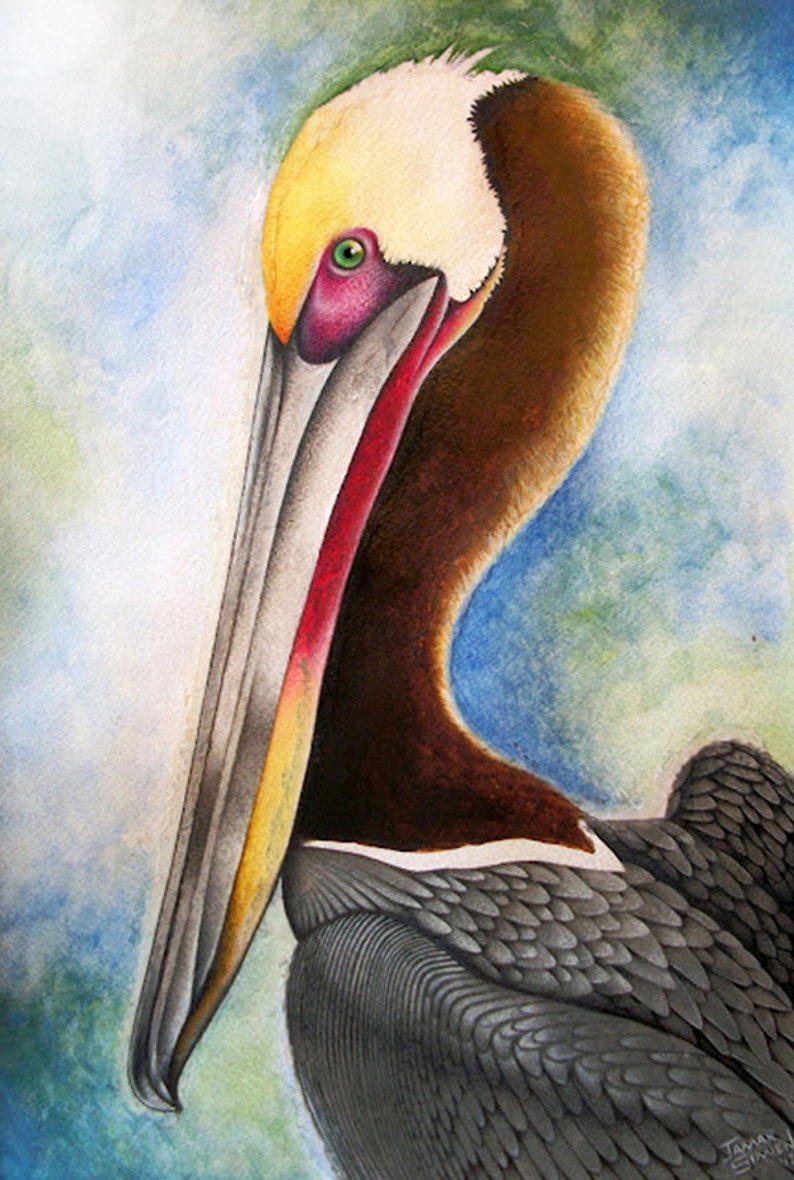 Original watercolor pelican painting fine art print 8 x 10 Etsy