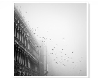 Venice Print, St Marks Square Black and White Contemporary Art Prints, Living Room Decor, Venice Italy, Italian Wall Art, Venice Pigeons