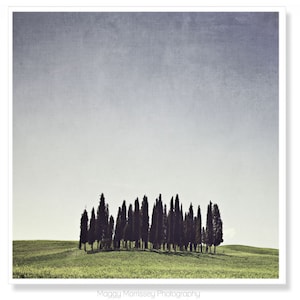 Tuscany Art Print Photograph, Living Room Decor, Gift for Wife, Nature Photography, Tuscan Wall Art, Fresh Home Decor, Cypress Trees image 1