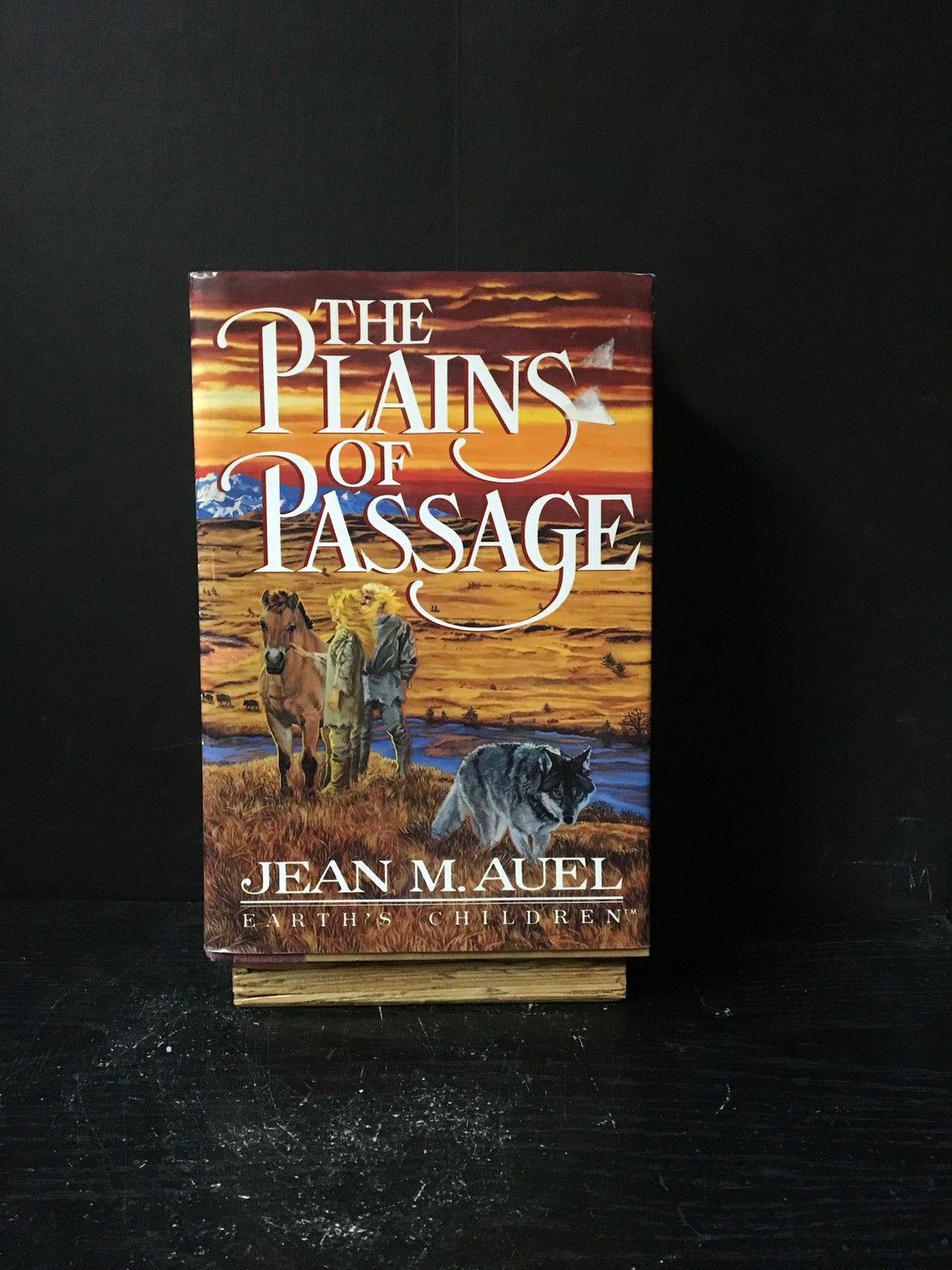 the plains of passage by jean m auel the plains of passage by jean m auel