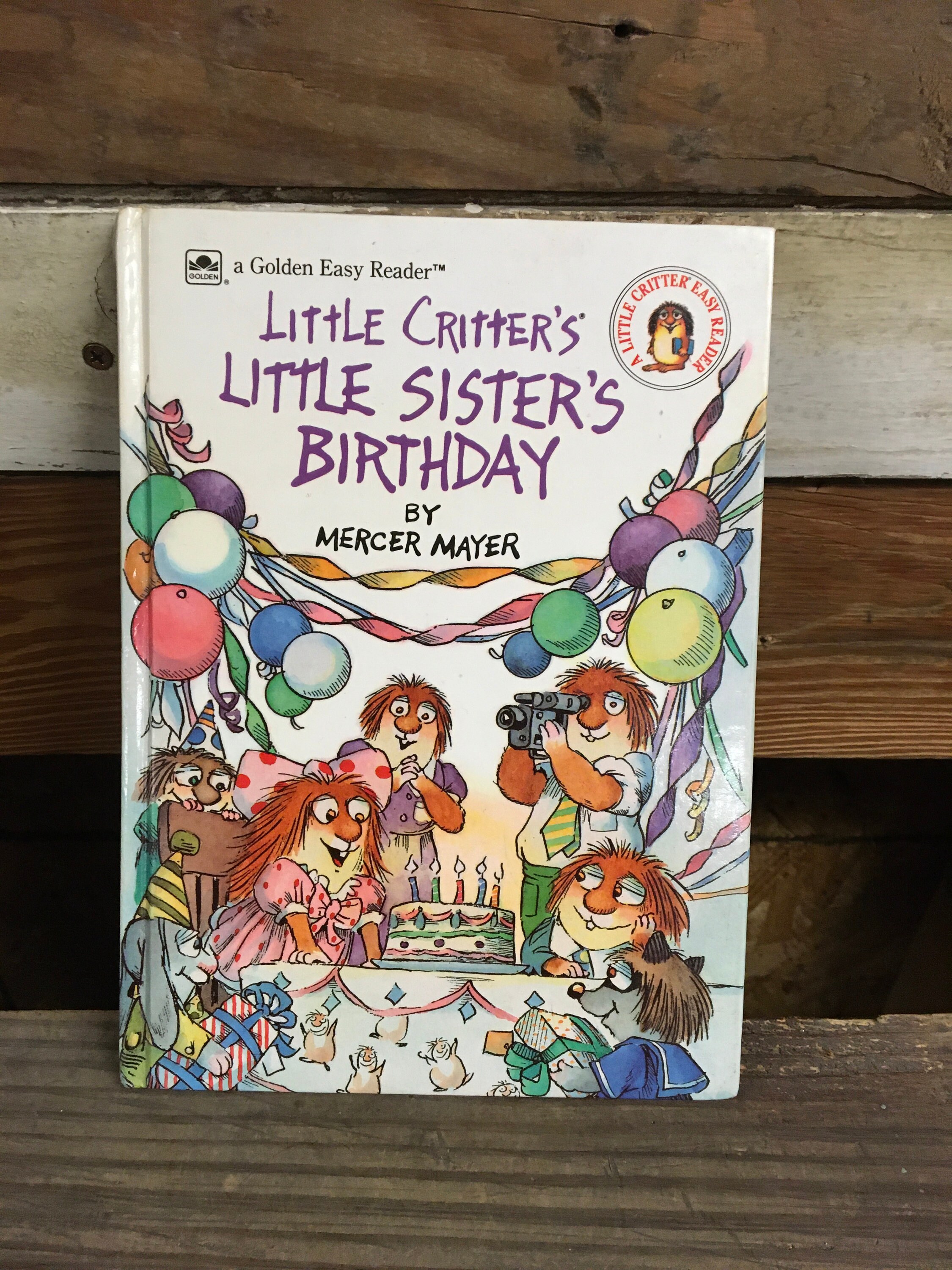 Little Critters Little Sisters Birthday Mercer Mayer Etsy