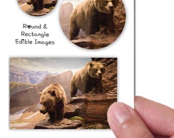 Personalized Edible Icing Frosting Image Birthday Sticker Decal Decoration Cake Cupcake Mini Toppers Grizzly Bears Animals Pick Size