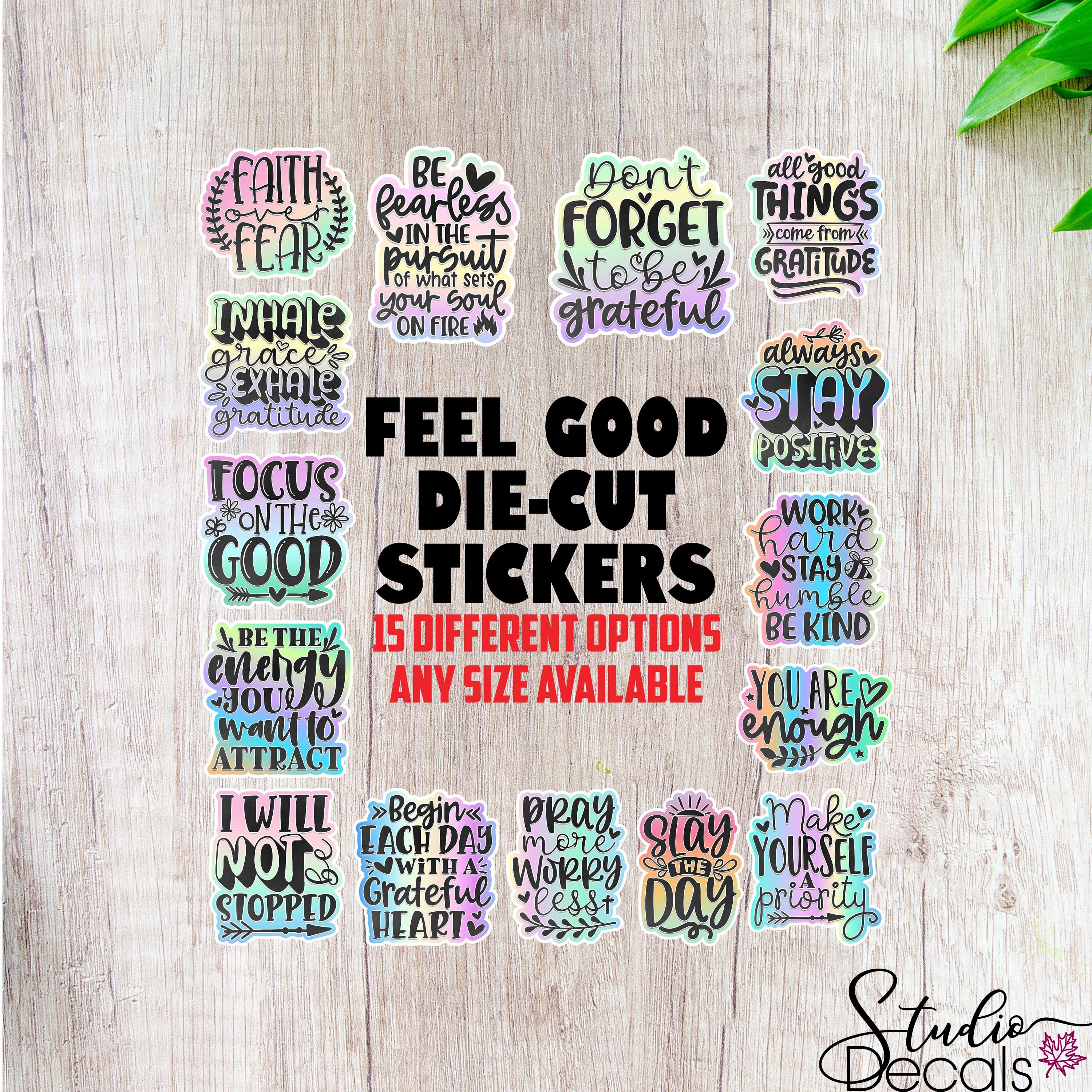 You Look Mean I Am Move Stickers - 2 Pack of 3 Stickers -  Waterproof Vinyl for Car, Phone, Water Bottle, Laptop - Funny Rude Joke  Quote Saying Decals (2-Pack)