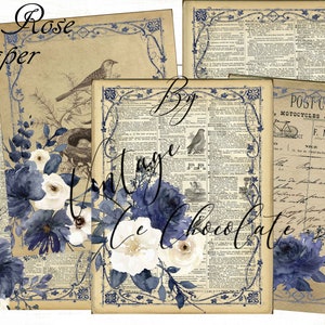 Vintage Scrapbook Paper Vintage Birds Blue and White Rose Paper Dictionary Pages. P274