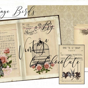 Vintage vogels dagboekpapier, Victoriaanse vogels, shabby chic bloemen, dagboek en plakboek. P267