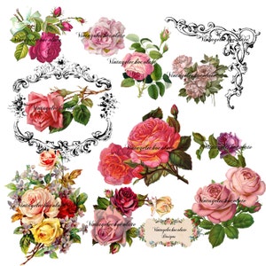 Vintage Rose Clipart: Shabby Chic Floral PNG Graphics (Digital Download)