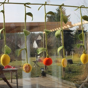 Magic fruits as a decoration for the kitchen window image 4