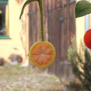 Magic fruits as a decoration for the kitchen window image 7