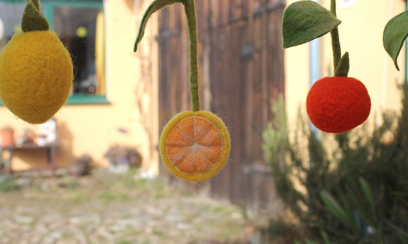 Magic fruits as a decoration for the kitchen window image 7